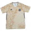 Billiga Fotbollströjor Argentina Commemorative Edition tröja Kortärmad